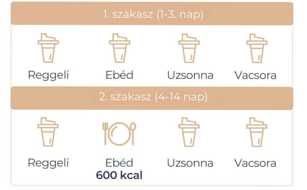 IdealBody®