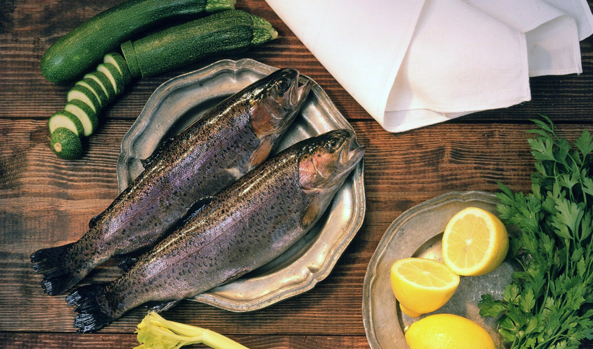 roston sült pisztráng