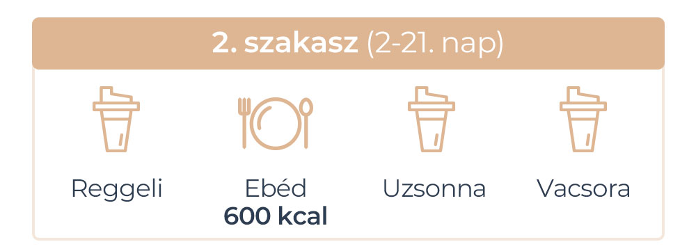 IdealBody® 2 szakasz