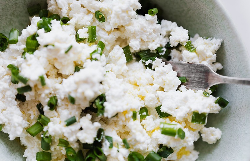 čo je to bielkovina