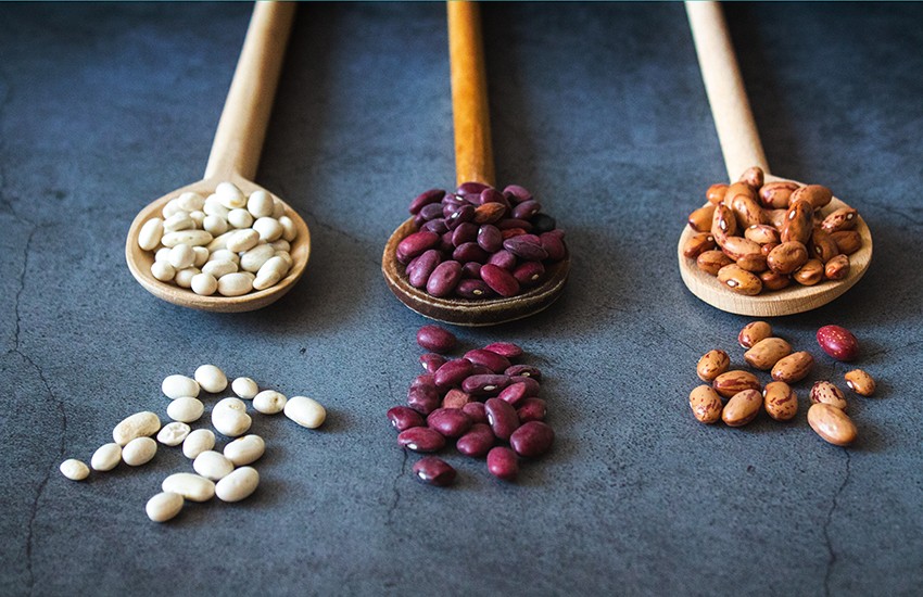 v čom je bielkovina