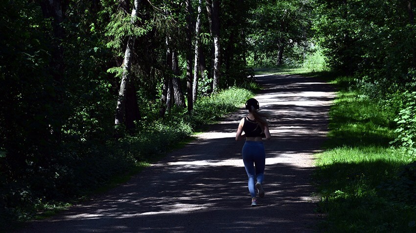 kezdő edz&eacute;sterv nőknek